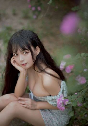 兄弟们开火电视剧免费看