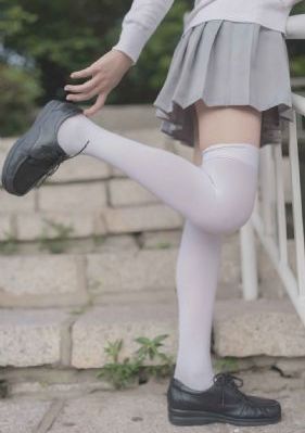 《疯狂动物城2》