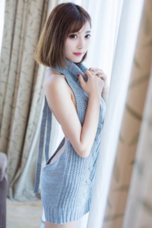vibos中国老妈