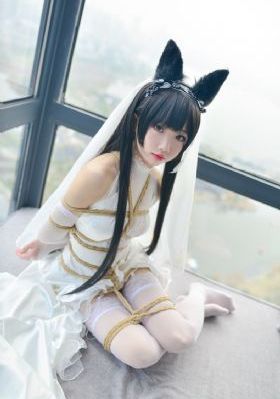 花心野玫瑰